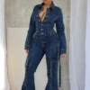 Celene Flare Hem Denim Jumpsuit