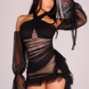 Aleera Mesh Ruffle Mini Dress