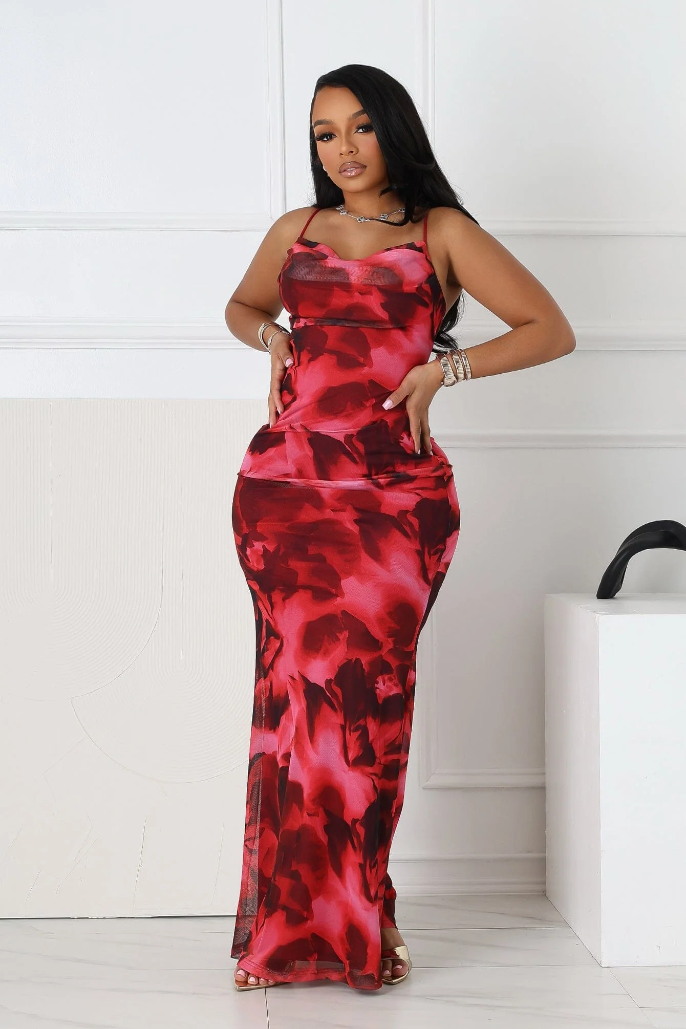 Hena Mesh Printed Cowl Neck Maxi Dress