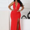 Yoona Mesh Mermaid Halter Maxi Dress