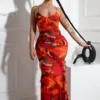 Jody Mesh Print Ruffle Maxi Dress