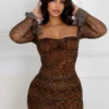 Chrishell Mesh Leopard Mini Dress
